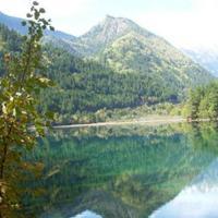 專注入境旅游業務，打造卓越旅行體驗