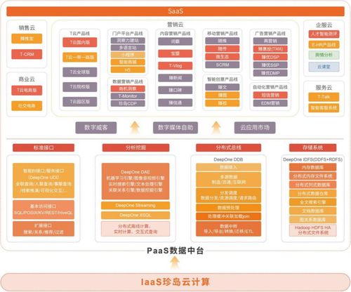 珍島Marketingforce五朵云 科技中介服務(wù)驅(qū)動(dòng)企業(yè)數(shù)字化轉(zhuǎn)型騰飛
